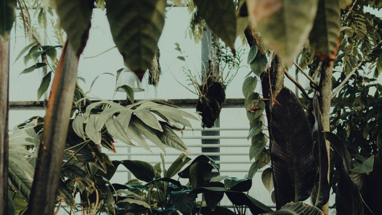 Besuch im «Paradiesgarten»