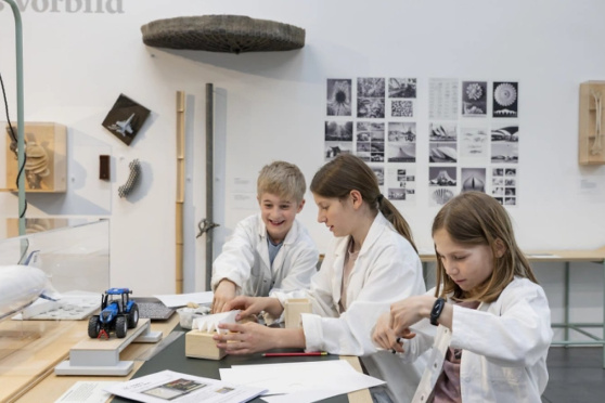 Jugendlabor - Bionik: Was kann der Mensch von der Natur lernen?