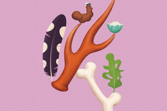 Vernissage - Spuren – Fährten, Frass und Federn