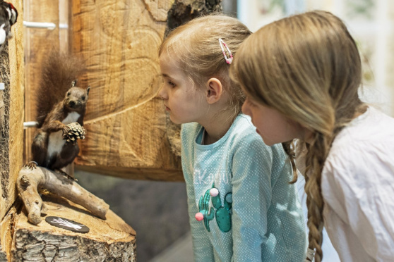 Internationaler Museumstag im Naturmuseum St.Gallen