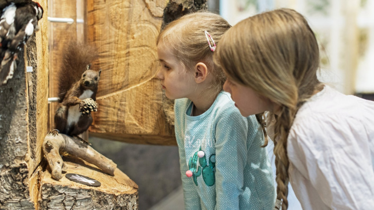 Internationaler Museumstag im Naturmuseum St.Gallen