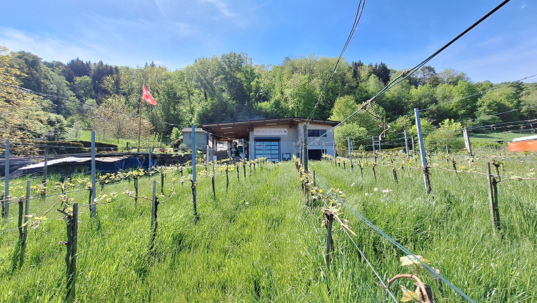 Tag der offenen Weinkeller