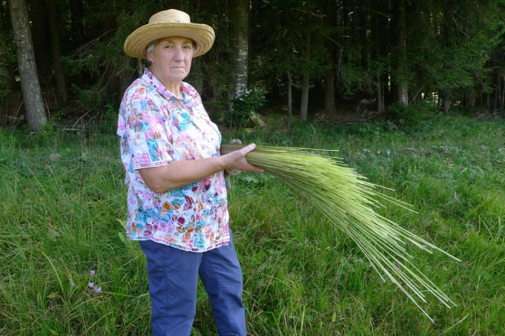 Vom Pfeifengras zum Besen