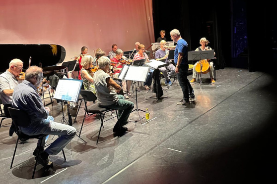 Salon Orchester Schaffhausen