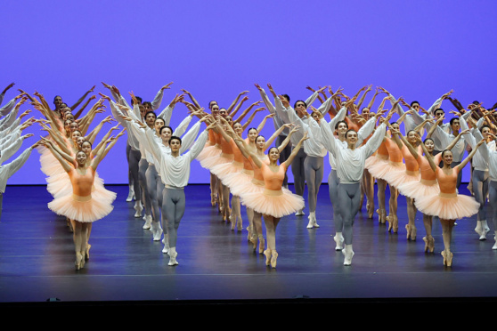 taZ – Curtain Up!