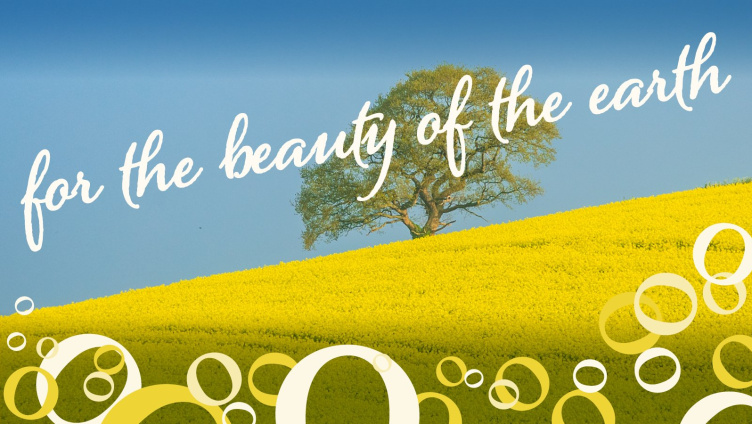 The Beauty of the Earth