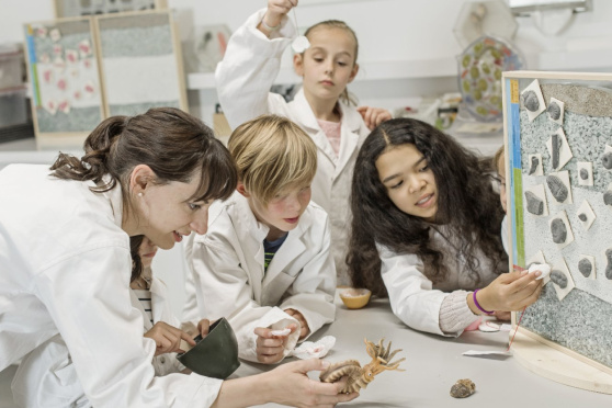 Walk-in Basteln - Fossilien giessen