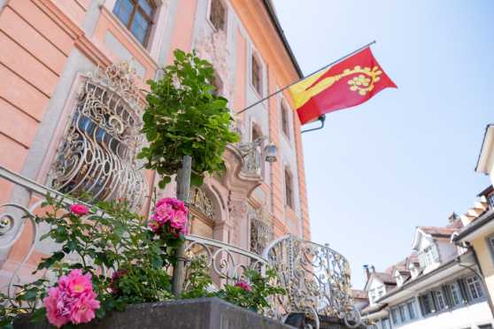 Öffentliche Stadtführung mit exklusiver Rathausbesichtigung