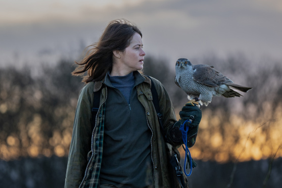 H Is for Hawk