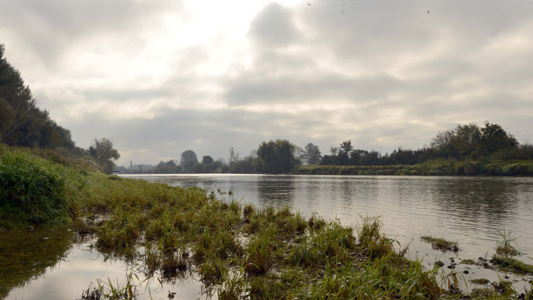 Dussä an der Thur