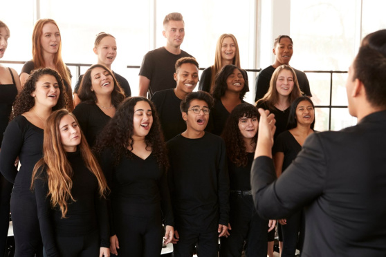 Vokalensemble Pop & Musical