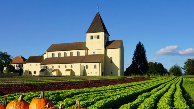 Augia-Konzert "Kontraste" mit dem Kammerensemble Reichenau