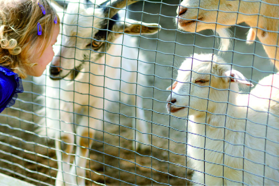 Vortrag: Wie lange können Tiere leben?