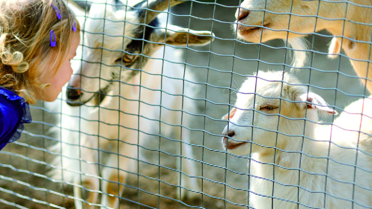 Vortrag: Wie lange können Tiere leben?