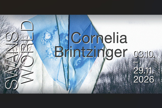SWANS WORLD - Cornelia Brintzinger