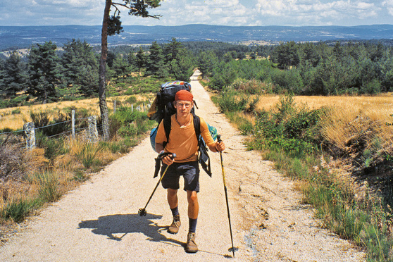 Der Weltenwanderer