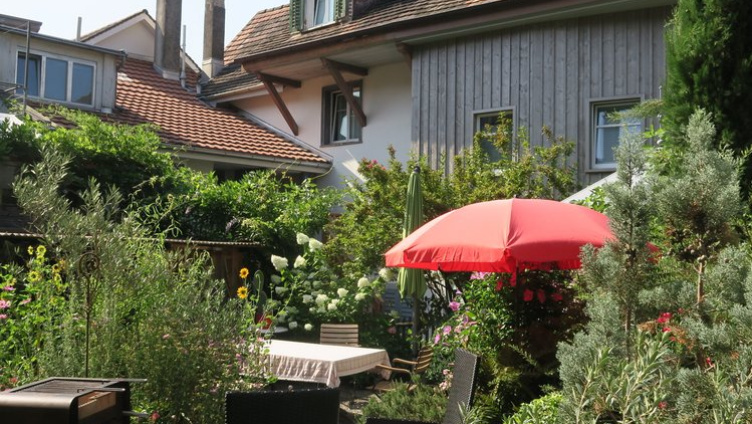 Wo Weinfelden aufblüht