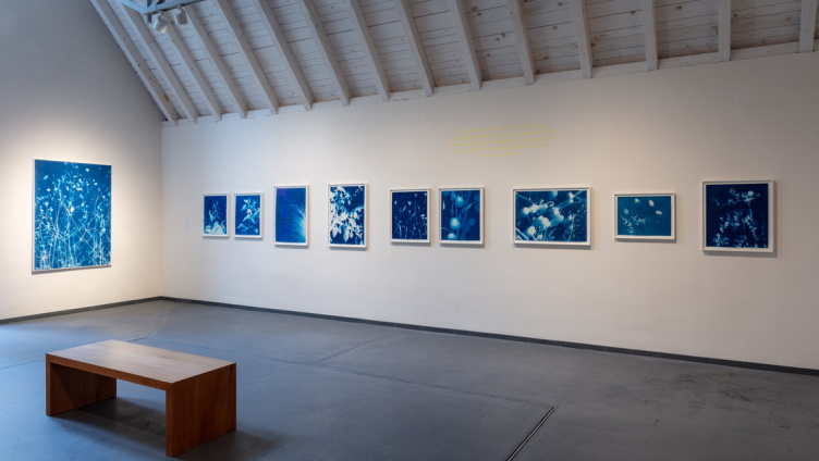 Frauen-Kunst-Club - Was der Augenblick bewahrt
