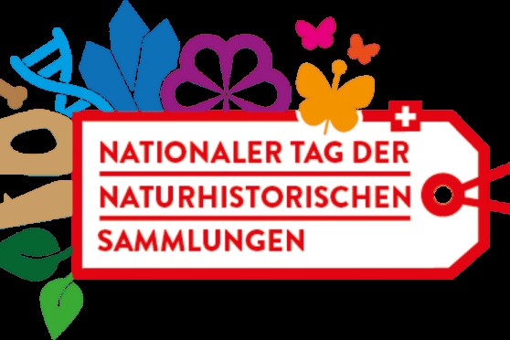 Türe auf - Blick in die Museumssammlung