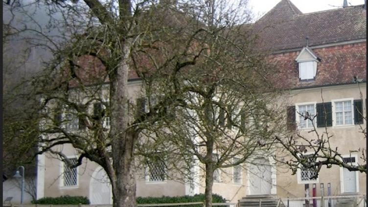 Gutachten: Rechtsanwalt protestiert