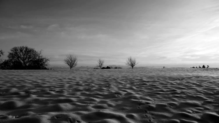 O Thurgau, du Sprachheimat