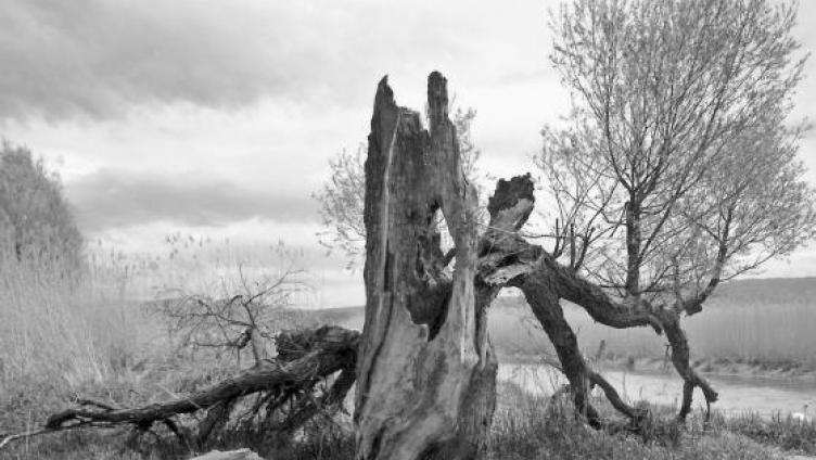 Die Stille, die Melancholie