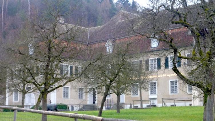 Kunstmuseum in Gebrauchsleihe?