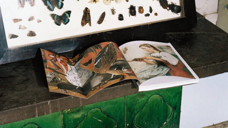 Dietrich-Publikation ausgezeichnet 