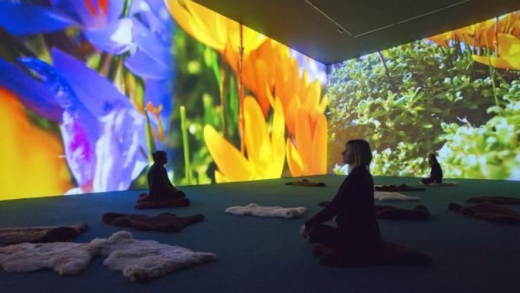 Kunstmuseum im Rausch