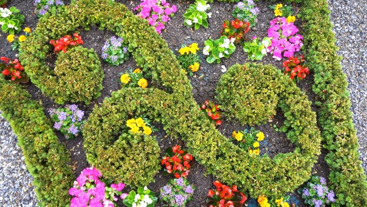 Ein Paradies mitten in Märstetten