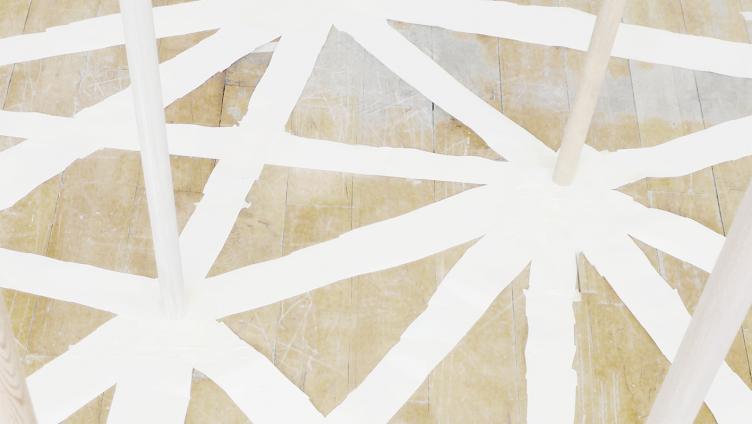 Schweizer für Kunstprojekt gesucht