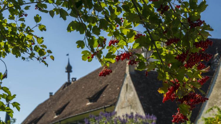 Stiftung feiert ihren 40.