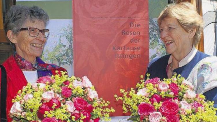 Liebeserklärung an historische Rosen