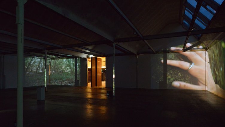 Sinnliche Erlebnisse im Shed