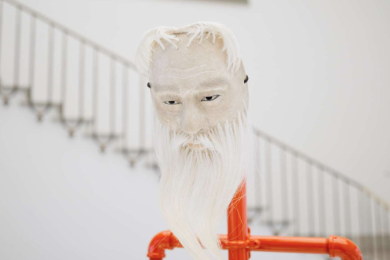 Die Sammlung neu gelesen