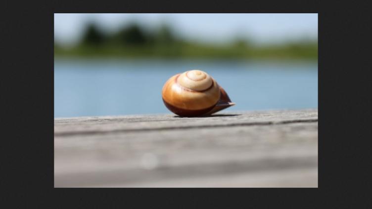 Kulis KulThurbetrachtung 11